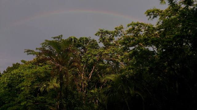 34 arco iris display